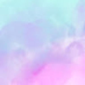 Meet your Posher, Bee